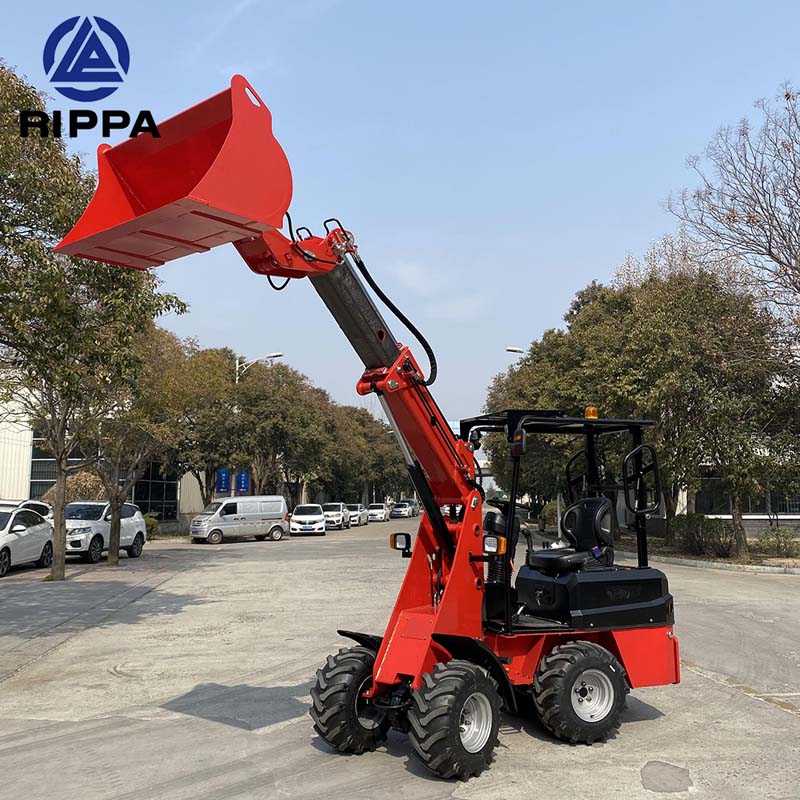 2023_03_03_11_38_IMG_8580