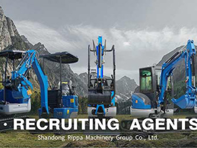 Miniescavadeira Rippa